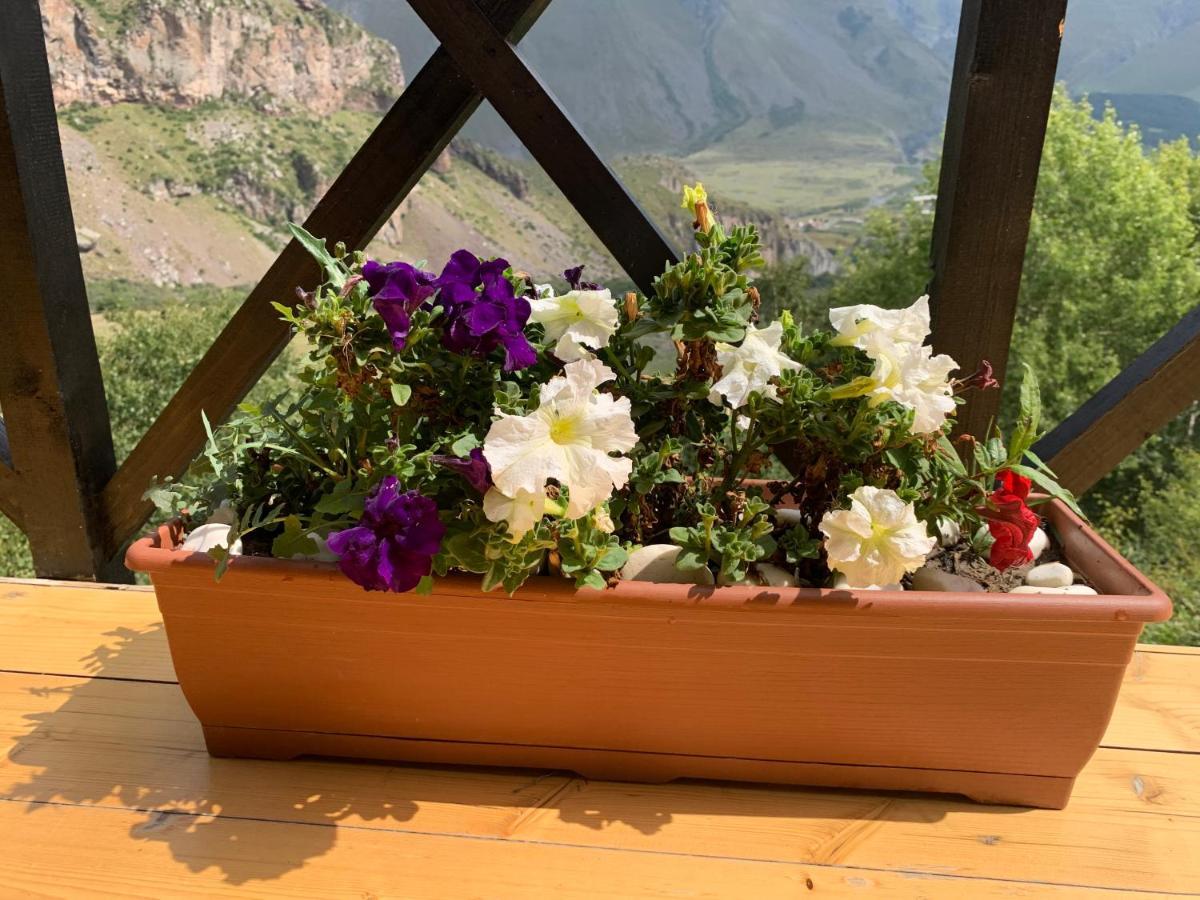 View Villa Kazbegi Luaran gambar