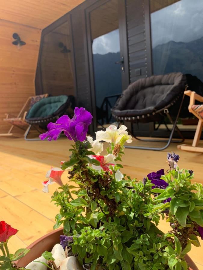 View Villa Kazbegi Luaran gambar
